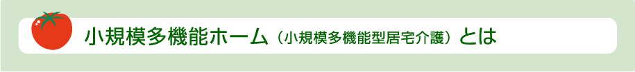 小規模多機能ホームについて